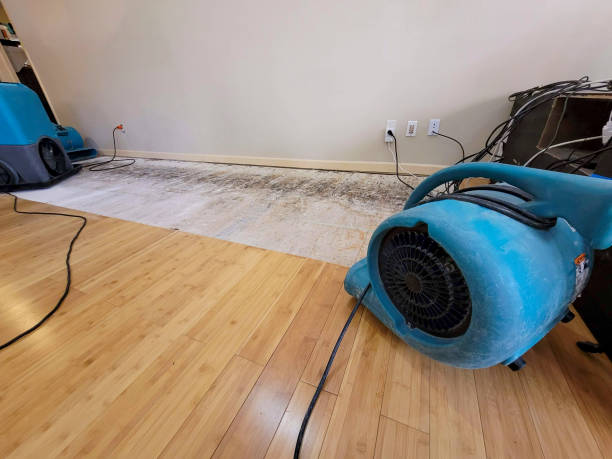Professional Structural Drying technician working in Monroe, SD